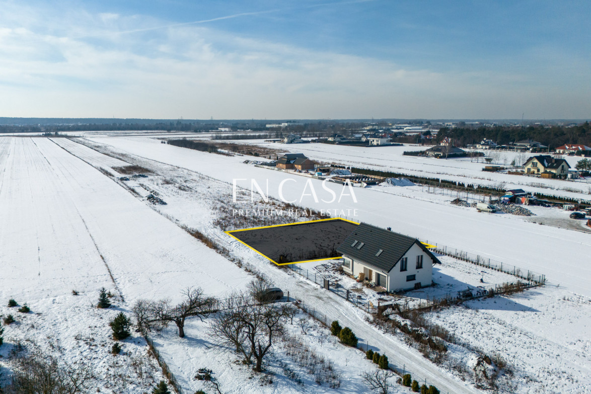 Plot Sale Laszczki Cytrynowa 5